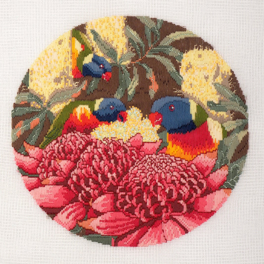 Rainbow Lorikeets long stitch kit by Helene Wild
