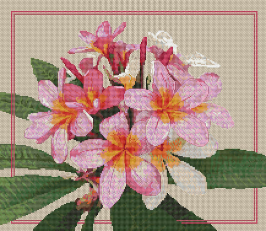 Pink Frangipani counted cross stitch kit by Mary Elizabeth for Caronie.