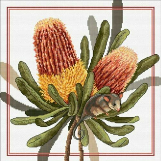 Banksias and Pigmy Possum 30 x 30cm - cross stitch kit