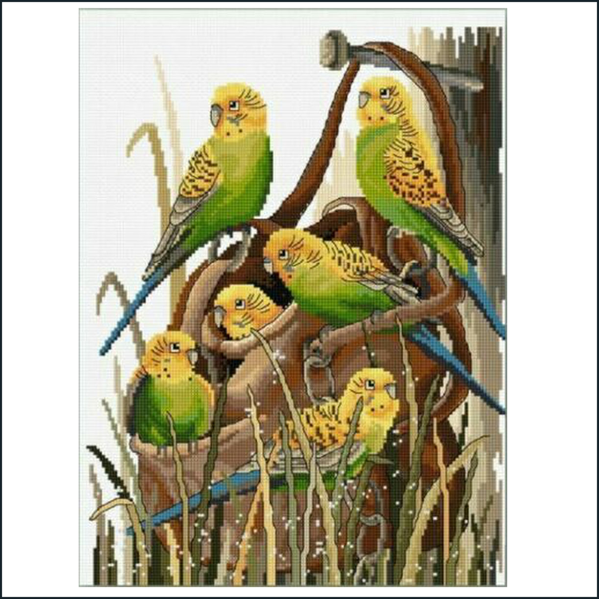 Bush Budgies 26 x 34cm - cross stitch kit