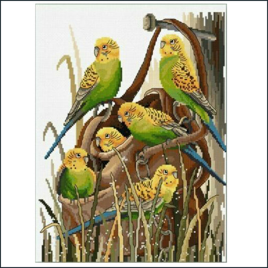 Bush Budgies 26 x 34cm - cross stitch kit