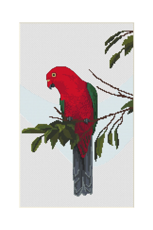 King Parrot cross stitch kit by Maureen Maguire