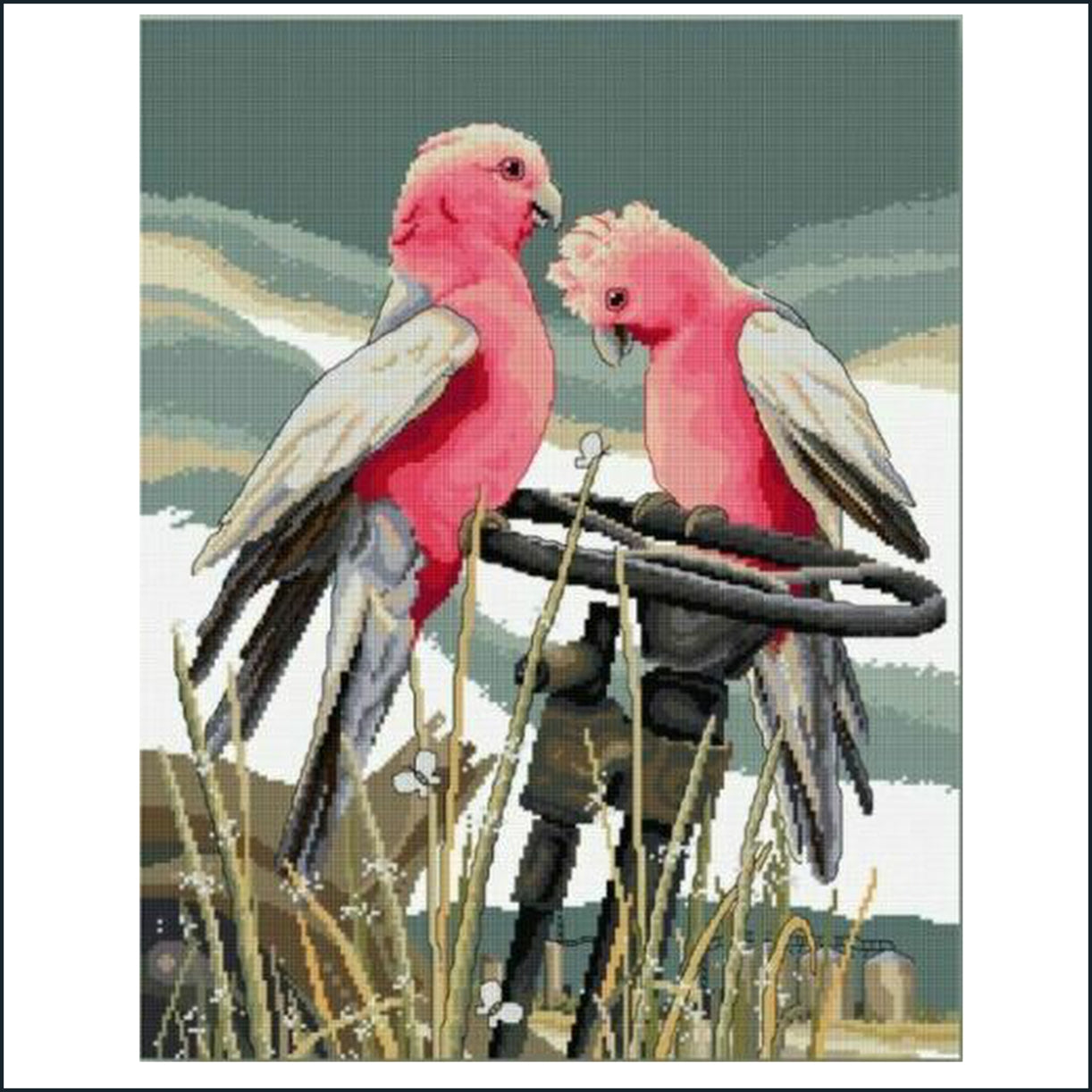 Perching Pair Galahs 34 x 44cm counted cross stitch kit by Country Threads