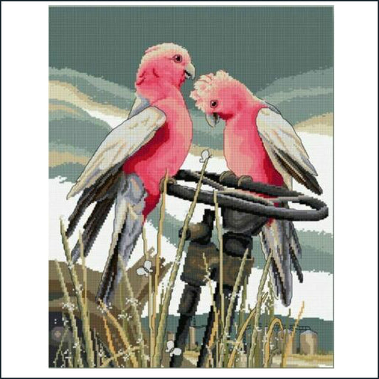Perching Pair Galahs 34 x 44cm counted cross stitch kit by Country Threads